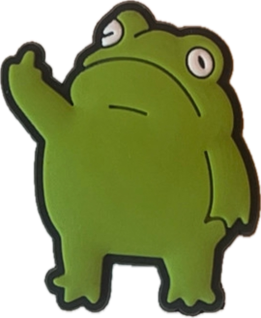 Funny Meme Croc Charms